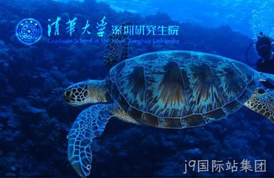 点击查看