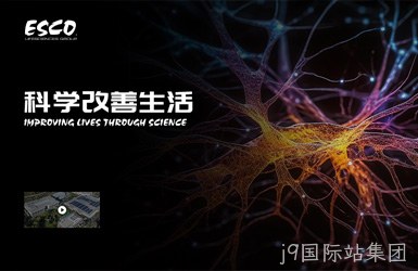 点击查看