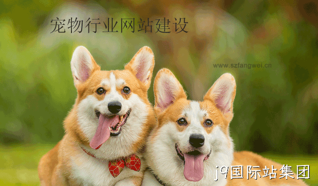 宠物行业网站建设