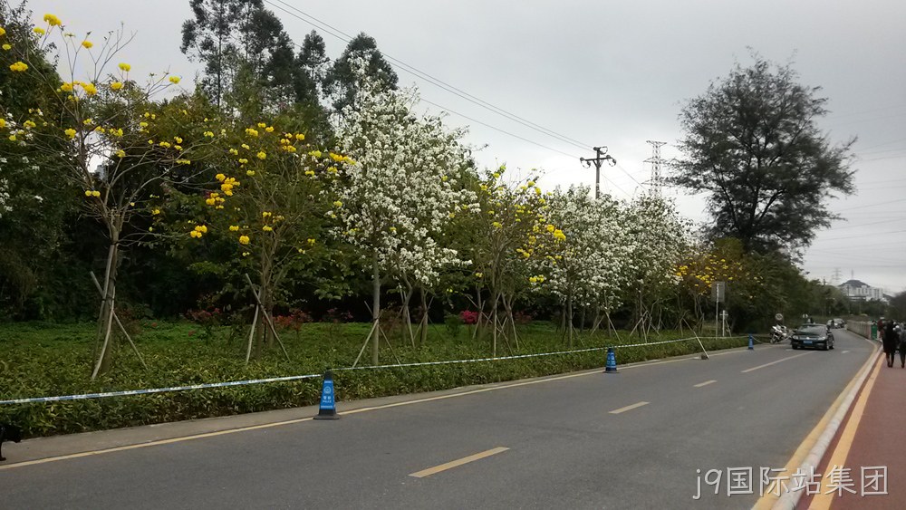 j9国际站集团仙湖行