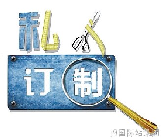 定制网站