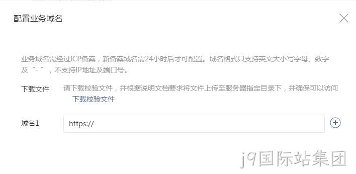 配置业务域名要求