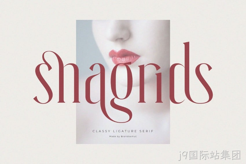 设计图27